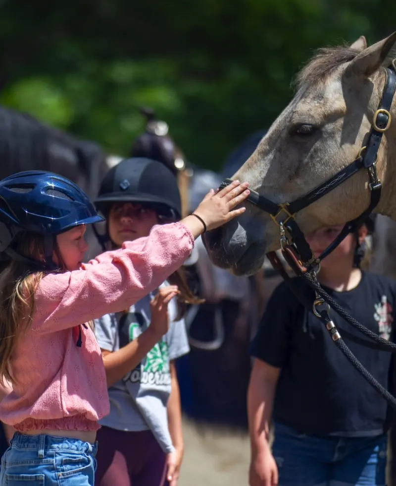 A Day at the Barn Adult Camp